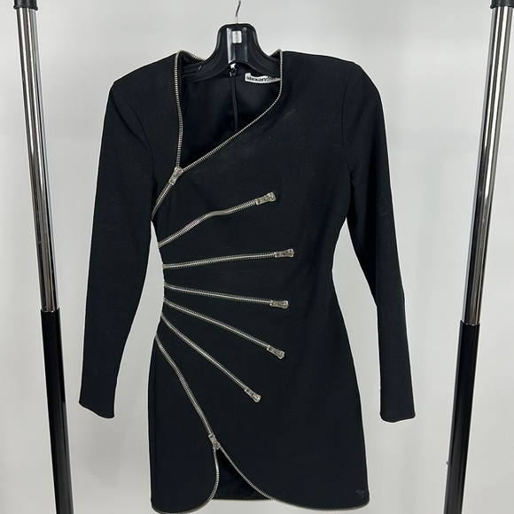 Alexander Wang Dresses & Skirts - Alexander Wang Zipper Mini Dress